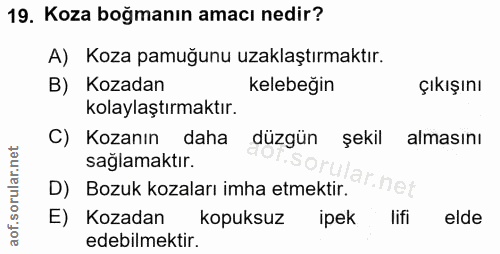 19. soru: Koza boğmanın amacı nedir? A) Koza pamuğunu uzaklaştırmaktır. B) Kozadan kelebeğin Çıkışını kolaylaştırmaktır. C) Koz…