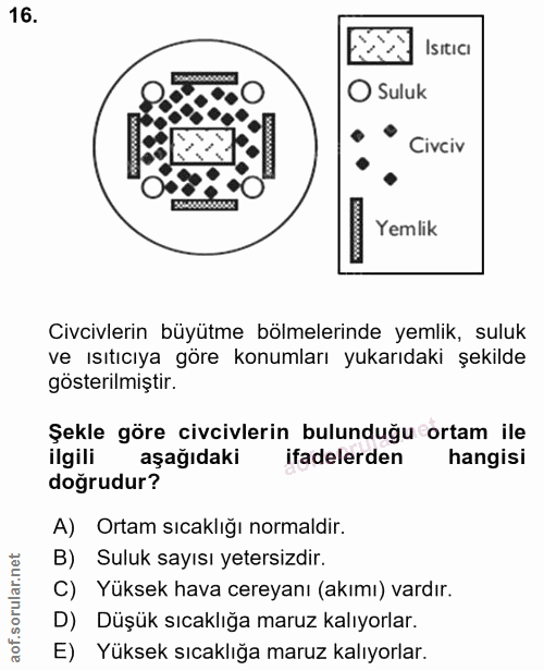 16. soru: Isiticı Suluk Civciv Yemlik Civcivlerin büyütme bölmelerinde yemlik, suluk ve Isıtıcıya göre konumları yukarıdaki şek…