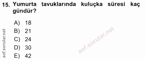15. soru: Yumurta tavuklarında kuluçka süresi kaç gündür? A) 18 B) 21 C) 24 D) 30 E) 42