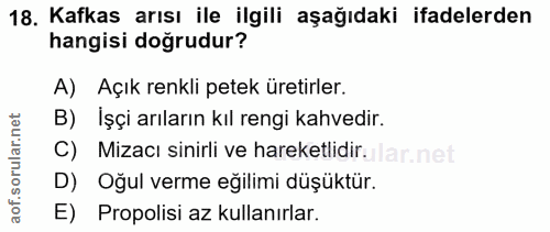18. soru: Kafkas arısı ile ilgili aşağıdaki ifadelerden hangisi doğrudur? A) Açık renkli petek üretirler. B) İşçi arıların kıl…