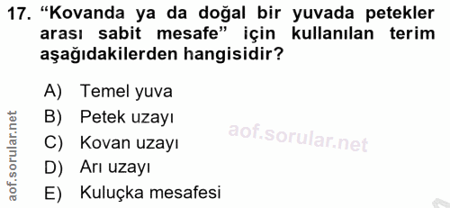 17. soru: "Kovanda ya da doğal bir yuvada petekler arası sabit mesafe" için kullanılan terim aşağıdakilerden hangisidir? A) Tem…