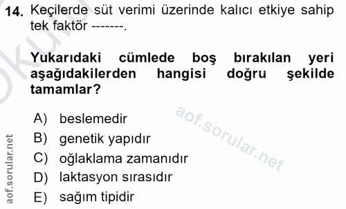 14. soru: Keçilerde süt verimi üzerinde kalıcı etkiye sahip tek faktör- Yukarıdaki cümlede boş bırakılan yeri aşağıdakilerden h…