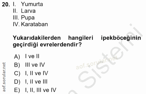 20. soru: I. Yumurta II. Larva III. Pupa IV. Karataban Yukarıdakilerden hangileri ipekböceğinin geçirdiği evrelerdendir? A) I v…