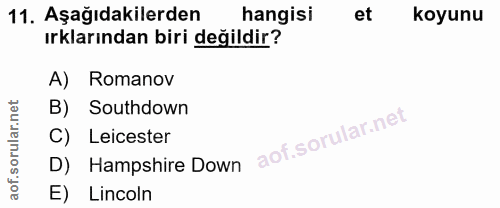 11. soru: Aşağıdakilerden hangisi et koyunu ırklarından biri değildir? A) Romanov B) Southdown C) Leicester D) Hampshire Down E…