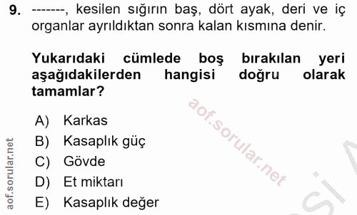 9. soru: -., kesilen sığırın baş, dört ayak, deri ve iç organlar ayrıldıktan sonra kalan kısmına denir. Yukarıdaki cümlede boş…