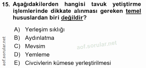15. soru: Aşağıdakilerden hangisi tavuk yetiştirme işlemlerinde dikkate alınması gereken temel hususlardan biri değildir? A) Ye…