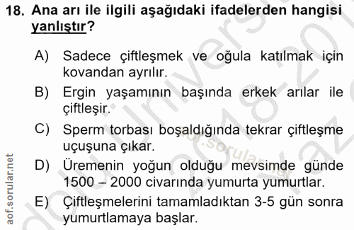 18. soru: Ana arı ile ilgili aşağıdaki ifadelerden hangisi yanlıştır? A) Sadece çiftleşmek ve oğula katılmak için kovandan ayrı…