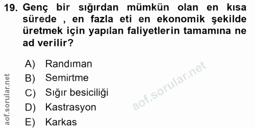 19. soru: Genç bir sığırdan mümkün olan en kısa sürede , en fazla eti en ekonomik şekilde üretmek için yapılan faliyetlerin tam…