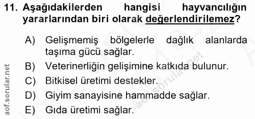 11. soru: Aşağıdakilerden hangisi hayvancılığın yararlarından biri olarak değerlendirilemez? A) Gelişmemiş bölgelerle dağlık al…