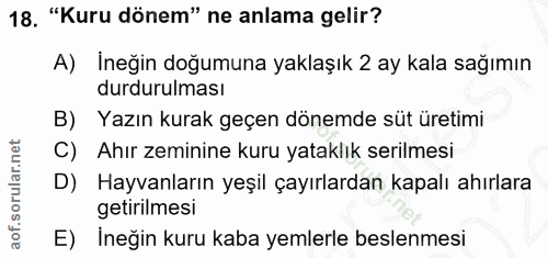 18. soru: "Kuru dönem" ne anlama gelir? A) İneğin doğumuna yaklaşık 2 ay kala sağımın durdurulması B) Yazın kurak geçen dönemde…