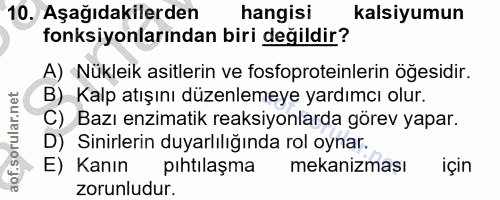 10. soru: Aşağıdakilerden hangisi kalsiyumun fonksiyonlarından biri değildir? A) Nükleik asitlerin ve fosfoproteinlerin öğesidi…