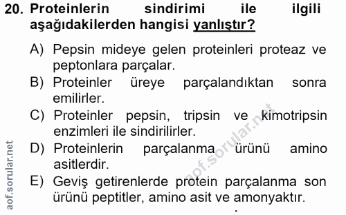 20. soru: Proteinlerin sindirimi ile ilgili aşağıdakilerden hangisi yanlıştır? A) Pepsin mideye gelen proteinleri proteaz ve pe…