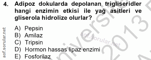 4. soru: Adipoz dokularda depolanan, trigliseridler hangi enzimin etkisi ile yağ asitleri ve gliserola hidrolize olurlar? A) P…