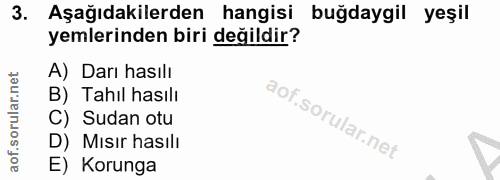 3. soru: Aşağıdakilerden hangisi buğdaygil yeşil yemlerinden biri değildir? A) Darı hasılı B) Tahıl hasılı C) Sudan otu D) Mis…