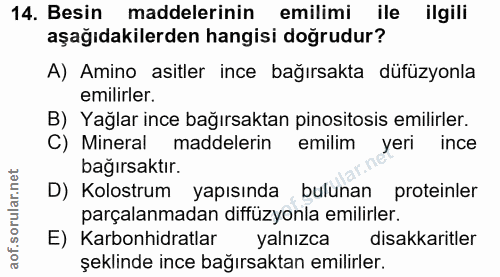 14. soru: Besin maddelerinin emilimi ile ilgili aşağıdakilerden hangisi doğrudur? A) Amino asitler ince bağırsakta düfüzyonla e…