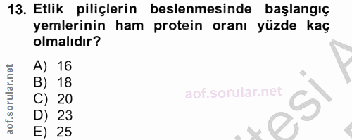13. soru: Etlik piliçlerin beslenmesinde başlangıç yemlerinin ham protein oranı yüzde kaç olmalıdır? A) 16 B) 18 20 23 E) 25