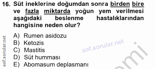 16. soru: Süt ineklerine doğumdan sonra birden bire ve fazla miktarda yoğun yem verilmesi aşağıdaki beslenme hastalıklarından h…