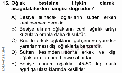 15. soru: Oğlak besisine ilişkin olarak aşağıdakilerden hangisi doğrudur? A) Besiye alınacak oğlakların sütten erken kesilmemes…