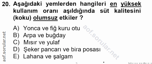 20. soru: Aşağıdaki yemlerden hangileri en yüksek kullanım oranı aşıldığında süt kalitesini (koku) olumsuz etkiler ? A) Yonca v…