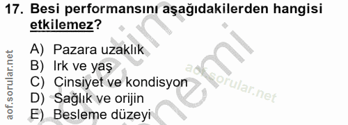 17. soru: Besi performansını aşağıdakilerden hangisi etkilemez? A) Pazara uzaklık B) Irk ve yaş C) Cinsiyet ve kondisyon D) *Sa…