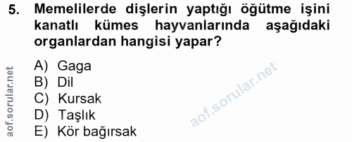5. soru: Memelilerde dişlerin yaptığı öğütme işini kanatlı kümes hayvanlarında aşağıdaki organlardan hangisi yapar? A) Gaga B)…