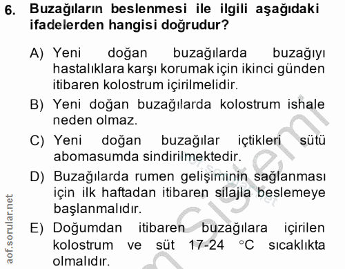 6. soru: Buzağıların beslenmesi ile ilgili aşağıdaki ifadelerden hangisi doğrudur? A) Yeni doğan buzağılarda buzağıyı hastalık…
