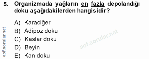 5. soru: Organizmada yağların en fazla depolandığı doku aşağıdakilerden hangisidir? A) Karaciğer B) Adipoz doku C) Kaslar doku…