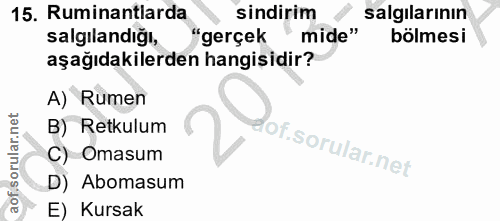 15. soru: Ruminantiarda sindirim salgilarının salgılandığı, "gerçek mide" bölmesi aşağıdakilerden hangisidir? A) Rumen B) Retku…