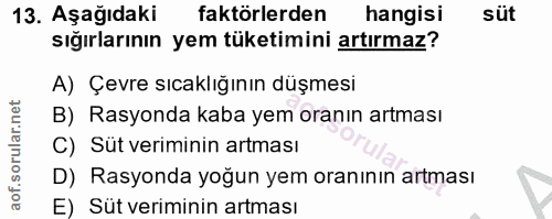 13. soru: Aşağıdaki faktörlerden hangisi süt sığırlarının yem tüketimini artırmaz? A) Çevre sıcaklığının düşmesi B) Rasyonda ka…
