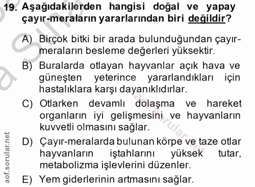 19. soru: Aşağıdakilerden hangisi doğal ve yapay çayır-meraların yararlarından biri değildir? A) Birçok bitki bir arada bulundu…
