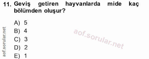 11. soru: Geviş getiren hayvanlarda mide kaç bölümden oluşur? A) 5 B) 4 C) 3 D) 2 E) 1