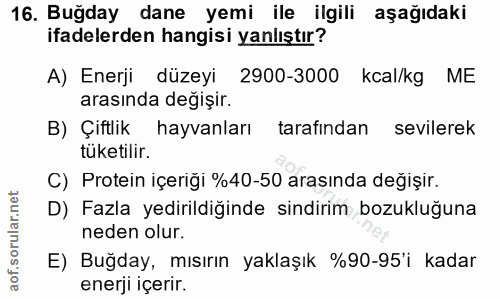 16. soru: Buğday dane yemi ile ilgili aşağıdaki ifadelerden hangisi yanlıştır? A) Enerji düzeyi 2900-3000 kcal/kg ME arasında d…