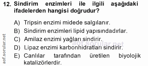 12. soru: Sindirim enzimleri ile ilgili aşağıdaki ifadelerden hangisi doğrudur? A) Tripsin enzimi midede salgilanır. B) Sindiri…