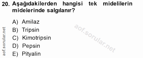 20. soru: Aşağıdakilerden hangisi tek midelilerin midelerinde salgılanır? A) Amilaz B) Tripsin C) Kimotripsin D) Pepsin E) Pity…