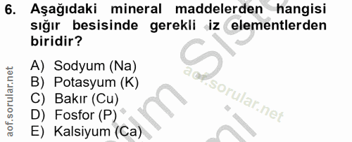 6. soru: Aşağıdaki mineral maddelerden hangisi sığır besisinde gerekli iz elementlerden biridir? A) Sodyum (Na) B) Potasyum (K…