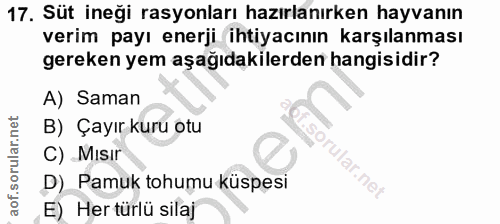 17. soru: Süt ineği rasyonları hazırlanırken hayvanın verim payı enerji ihtiyacının karşılanması gereken yem aşağıdakilerden ha…