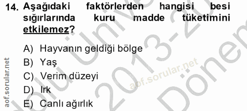 14. soru: Aşağıdaki faktörlerden hangisi besi sığırlarında kuru madde tüketimini etkilemez? A) Hayvanın geldiği bölge B) Yaş it…