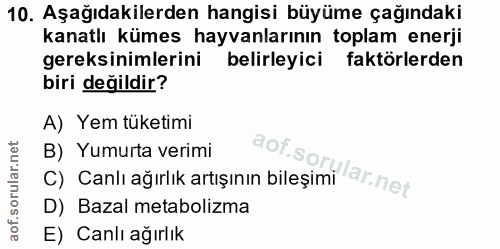 10. soru: Aşağıdakilerden hangisi büyüme çağındaki kanatlı kümes hayvanlarının toplam enerji gereksinimlerini belirleyici faktö…