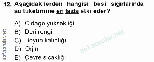 12. soru: Aşağıdakilerden hangisi besi sığırlarında su tüketimine en fazla etki eder? A) Cidago yüksekliği B) Deri rengi C) Boy…