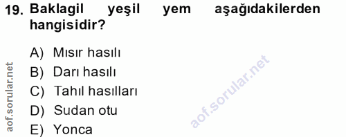 19. soru: Baklagil yeşil yem aşağıdakilerden hangisidir? A) Mısır hasılı B) Darı hasılı C) Tahıl hasılları D) Sudan otu E) Yonca