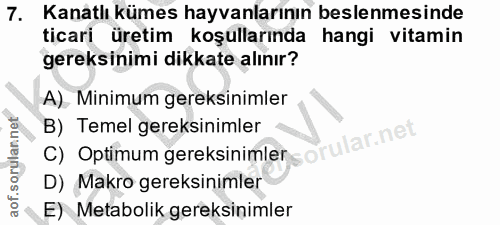 7. soru: Kanatlı kümes hayvanlarının beslenmesinde ticari üretim koşullarında hangi vitamin gereksinimi dikkate alınır? A) Min…