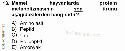 13. soru: Memeli hayvanlarda protein metabolizmasının son ürünü aşağıdakilerden hangisidir? A) Amino asit B) Peptid C) Üre D) P…