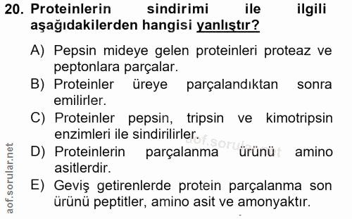 20. soru: Proteinlerin sindirimi ile ilgili aşağıdakilerden hangisi yanlıştır? A) Pepsin mideye gelen proteinleri proteaz ve pe…