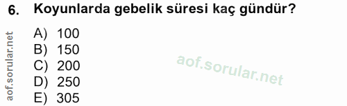 6. soru: Koyunlarda gebelik süresi kaç gündür? A) 100 B) 150 C) 200 D) 250 E) 305