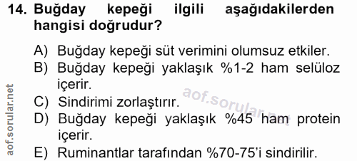 14. soru: Buğday kepeği ilgili aşağıdakilerden hangisi doğrudur? A) Buğday kepeği süt verimini olumsuz etkiler. B) Buğday kepeğ…