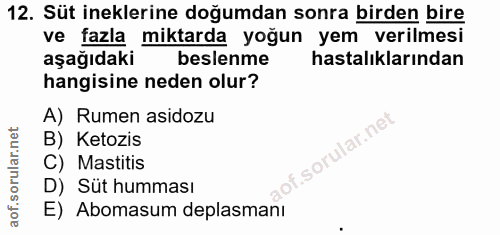 12. soru: Süt ineklerine doğumdan sonra birden bire ve fazla miktarda yoğun yem verilmesi aşağıdaki beslenme hastalıklarından h…