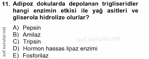 11. soru: Adipoz dokularda depolanan trigliseridler hangi enzimin etkisi ile yağ asitleri ve gliserola hidrolize olurlar? A) Pe…