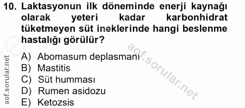 10. soru: Laktasyonun ilk döneminde enerji kaynağı olarak yeteri kadar karbonhidrat tüketmeyen süt ineklerinde hangi beslenme h…