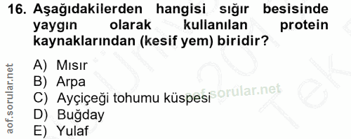16. soru: Aşağıdakilerden hangisi sığır besisinde yaygın olarak kullanılan protein kaynaklarından (kesif yem) biridir? A) Mısır…