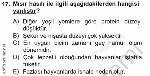 17. soru: Mısır hasılı ile ilgili aşağıdakilerden hangisi yanlıştır? A) Diğer yeşil yemlere göre protein düzeyi düşüktür. B) Şe…